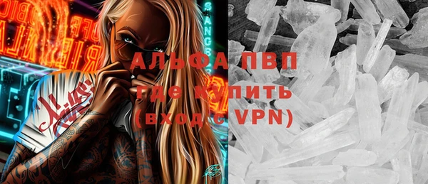 сатива Баксан