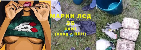 сатива Баксан