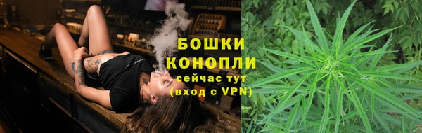 сатива Баксан