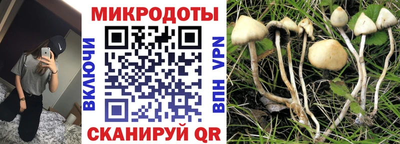 Псилоцибиновые грибы прущие грибы  закладки  Красноармейск 